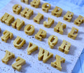 Alphabet Loc Beads