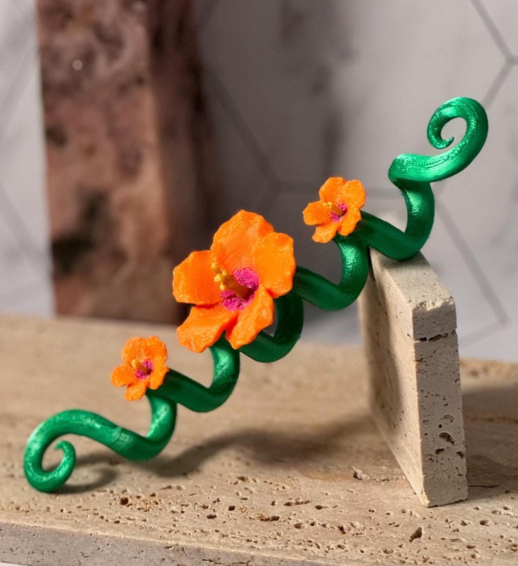 Hibiscus Spiral