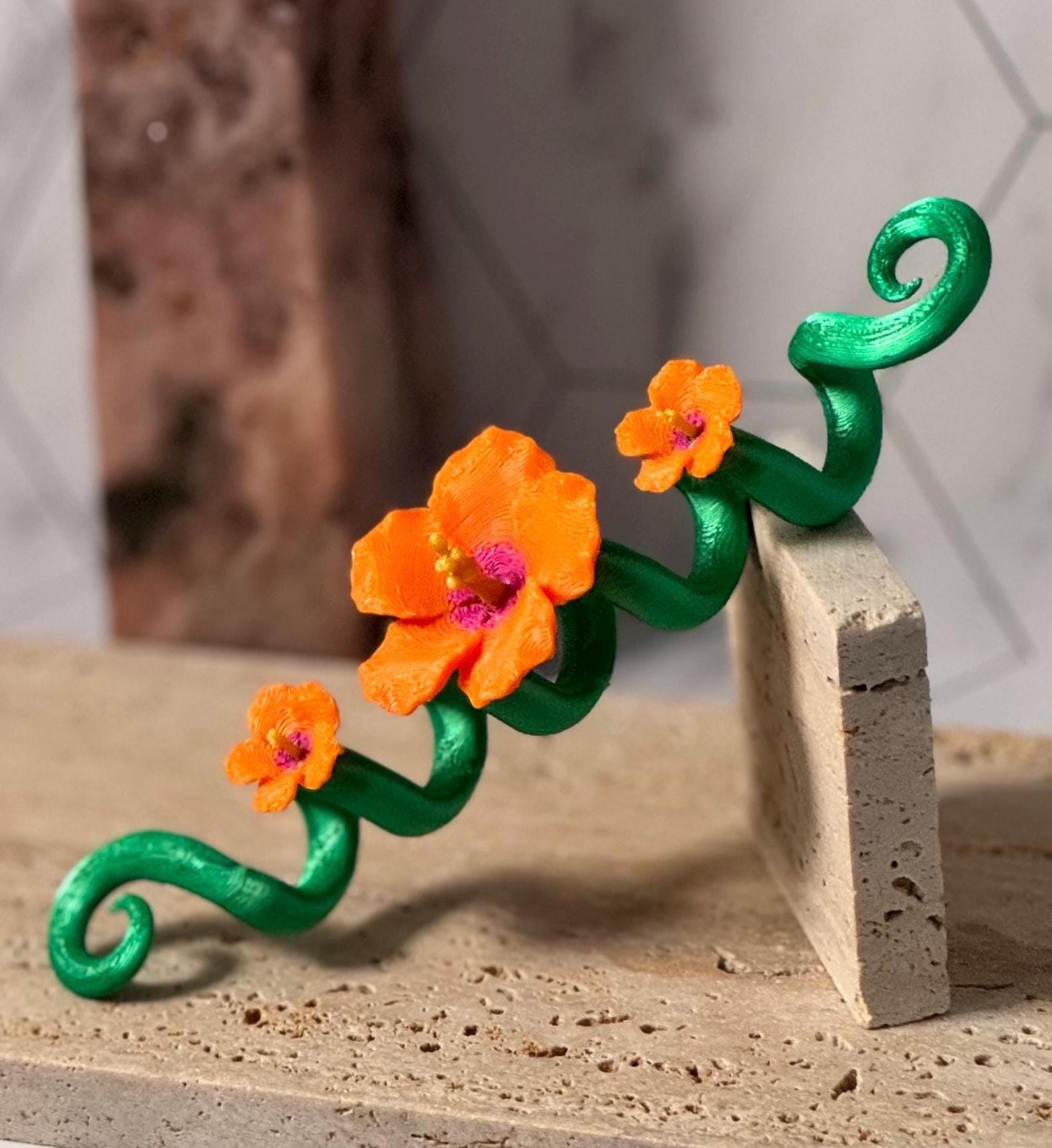 Hibiscus Spiral