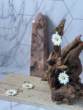 Daisy Charms