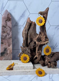 Sunflower Charms