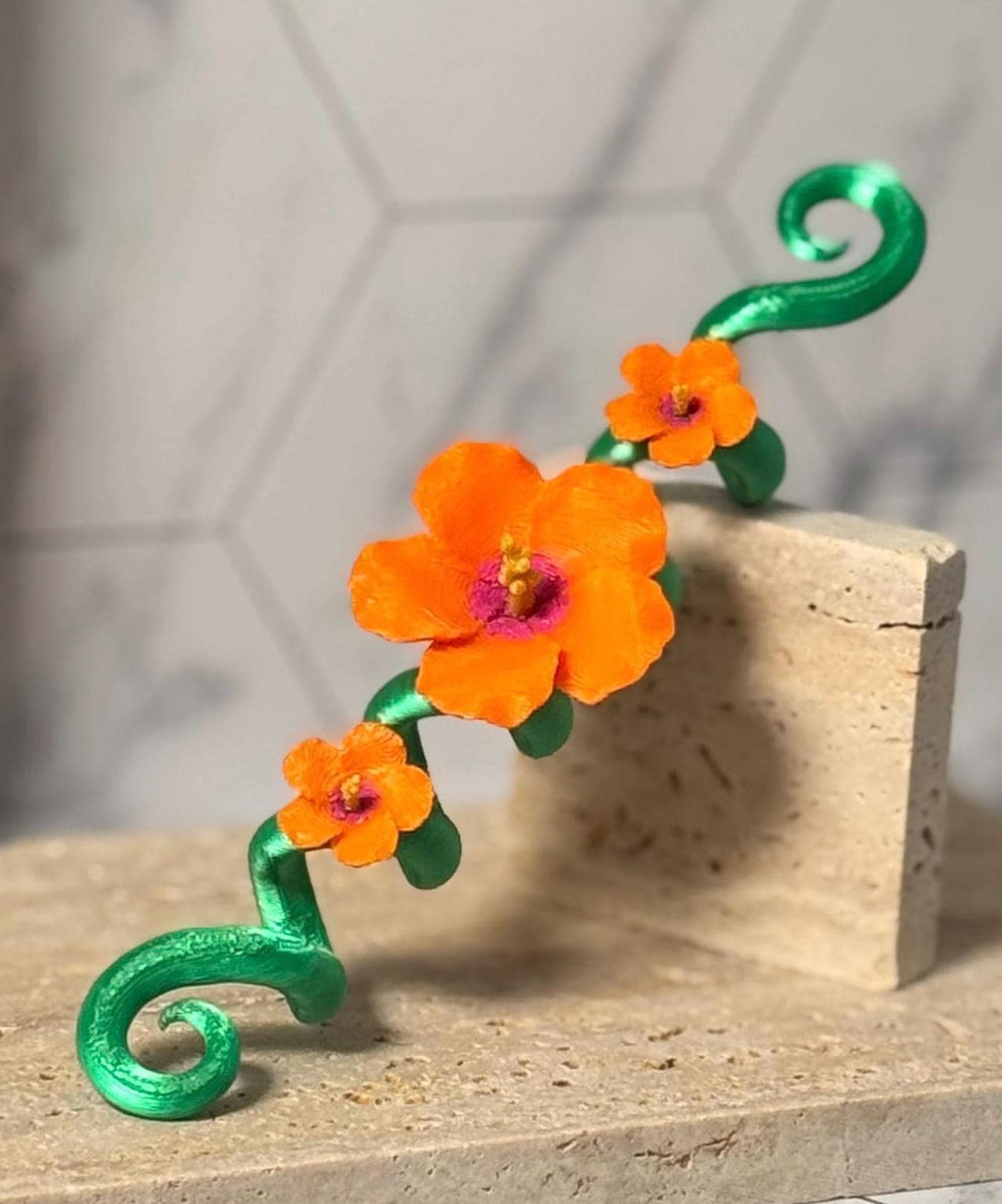 Hibiscus Spiral